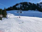 Pistes bij de 6-persoons stoeltjeslift Schrattenwang