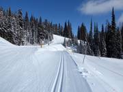 Langlaufloipes in SilverStar Mountain Resort