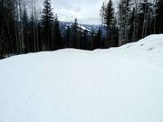 Gemakkelijke piste The Last Spike