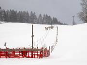 Übungslift Sinswang 1 - Sleeplift/babyllift