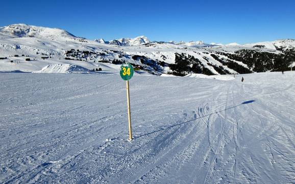 Skigebieden voor beginners in de Massive Range – Beginners Banff Sunshine