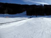 Oefenweide met transportband Dosson