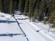 Loipe in Big Sky Resort