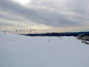 Gemakkelijke piste Baldy