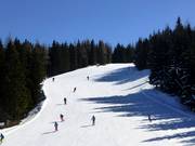 WK-damesafdaling op de Planai