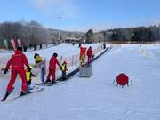 Fox park pás F1 - Transportband/Moving Carpet