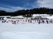 Tip voor de kleintjes 