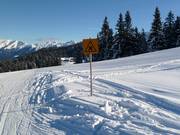 Waarschuwing bij kruisingen