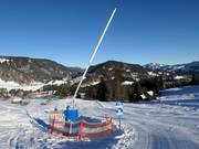 Lansbesneeuwing bij de Wannenköpflelift