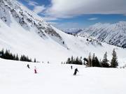 Piste bij de stoeltjeslift Collins