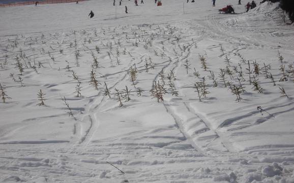 Zuid-Boheemse regio: milieuvriendelijkheid van de skigebieden – Milieuvriendelijkheid Lipno