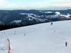 Freiburg (regeringsdistrict): Grootte van de skigebieden – Grootte Belchen