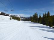 Gemakkelijke piste Pony Express