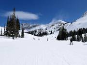 Makkelijke piste bij de stoeltjeslift Sunnyside