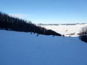 Piste Snowboard