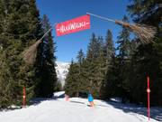 Tip voor de kleintjes 