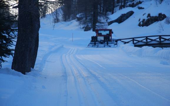 Langlaufen Monte Rosa – Langlaufen Alagna Valsesia/Gressoney-La-Trinité/Champoluc/Frachey (Monterosa Ski)