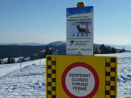 Todtnau: milieuvriendelijkheid van de skigebieden – Milieuvriendelijkheid Feldberg – Seebuck/Grafenmatt/Fahl