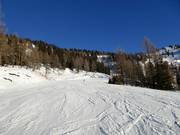 Blauwe afdaling richting Gloneralm Flachauwinkl