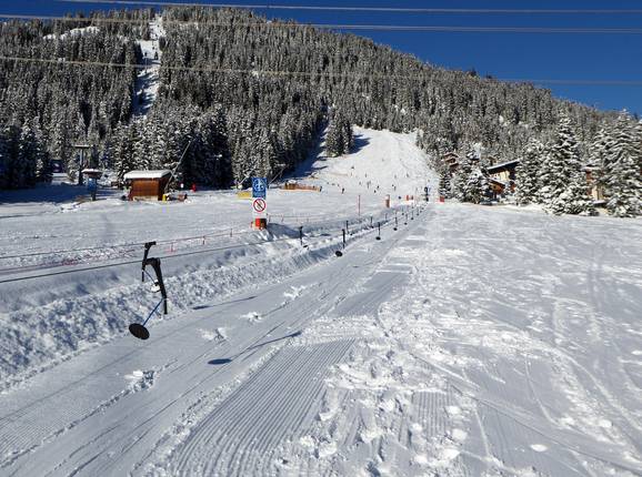 Babylift Märchenwald