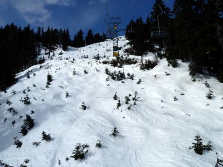 Skigebieden voor gevorderden en off-piste skiërs Lower Mainland – Gevorderden, off-piste skiërs Cypress Mountain
