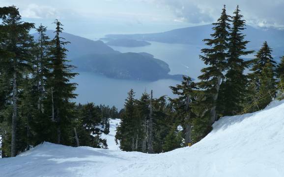 Beste skigebied in de metropool Vancouver – Beoordeling Cypress Mountain