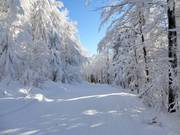 Makkelijk sleepad naar Mitterfirmiansreut