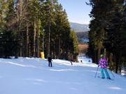 De Kappe biedt ook lichte tot middelzware bosafdalingen