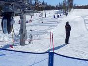 Voor kinderen is er hulp bij het instappen beschikbaar.