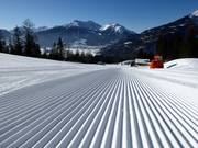 Vers vers geprepareerde Gamskarabfahrt