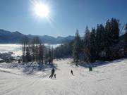 Middelzware familieafdaling