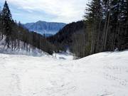 Gemakkelijke afdaling Rehkogel