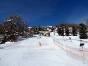 Dalafdaling naar Suvretta