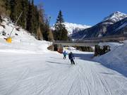 Dalafdaling Haideralm