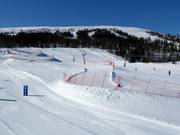 Tip voor de kleintjes 