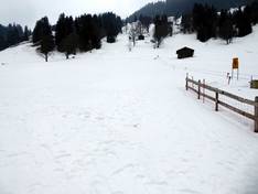 Foto's Saxeten – Pintli