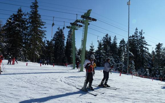 Beste skigebied in het noordelijke deel van het Zwarte Woud – Beoordeling Hundseck – Bühlertallifte