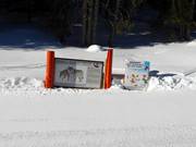 Belevingspiste met informatie over de dieren van het bos
