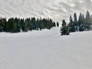 Onderste deel Buitenste Familiewedafdaling