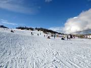 Gemakkelijke piste Woodrun