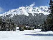 Beginnerspiste Flap Jack