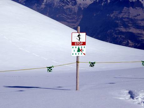 Berner Oberland: milieuvriendelijkheid van de skigebieden – Milieuvriendelijkheid Kleine Scheidegg/Männlichen – Grindelwald/Wengen
