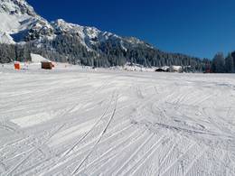 Ehrwalder Alm – Ehrwald