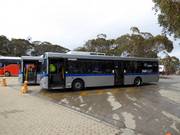Shuttlebus bij Mount Buller Alpine Village