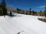 Afdaling Homestead Run