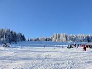 Gemakkelijke piste bij de Kirchenlift