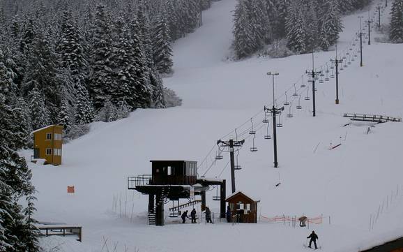 Skiën bij Government Camp
