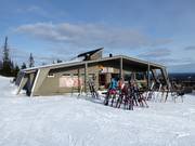 Berghutten tip Aurinko Ravintola