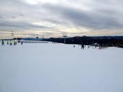 Gemakkelijke piste Baldy