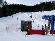 Beginnersweide Holzstube